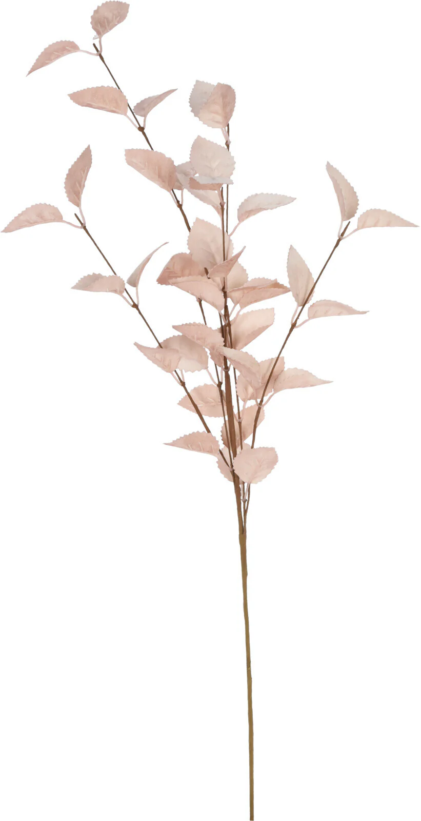 Tuotekuva 2