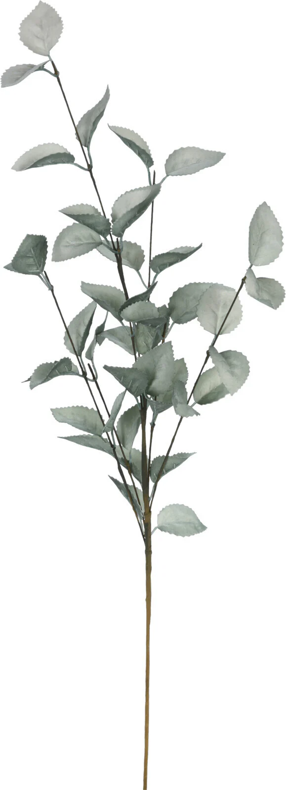 Tuotekuva 5