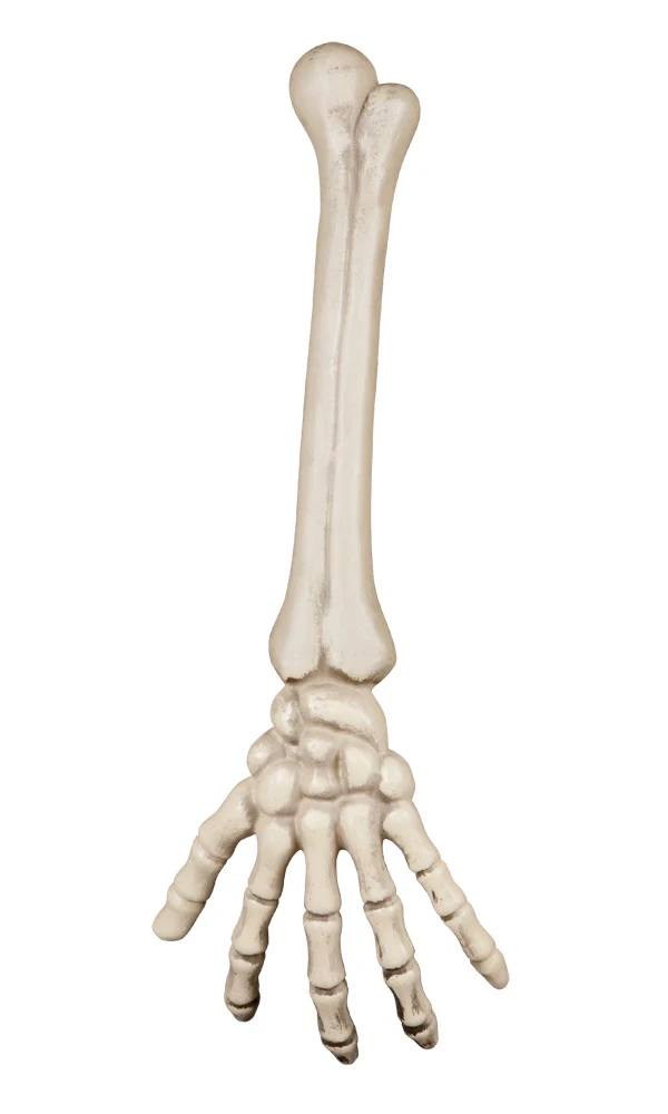 Pikkukuva 1