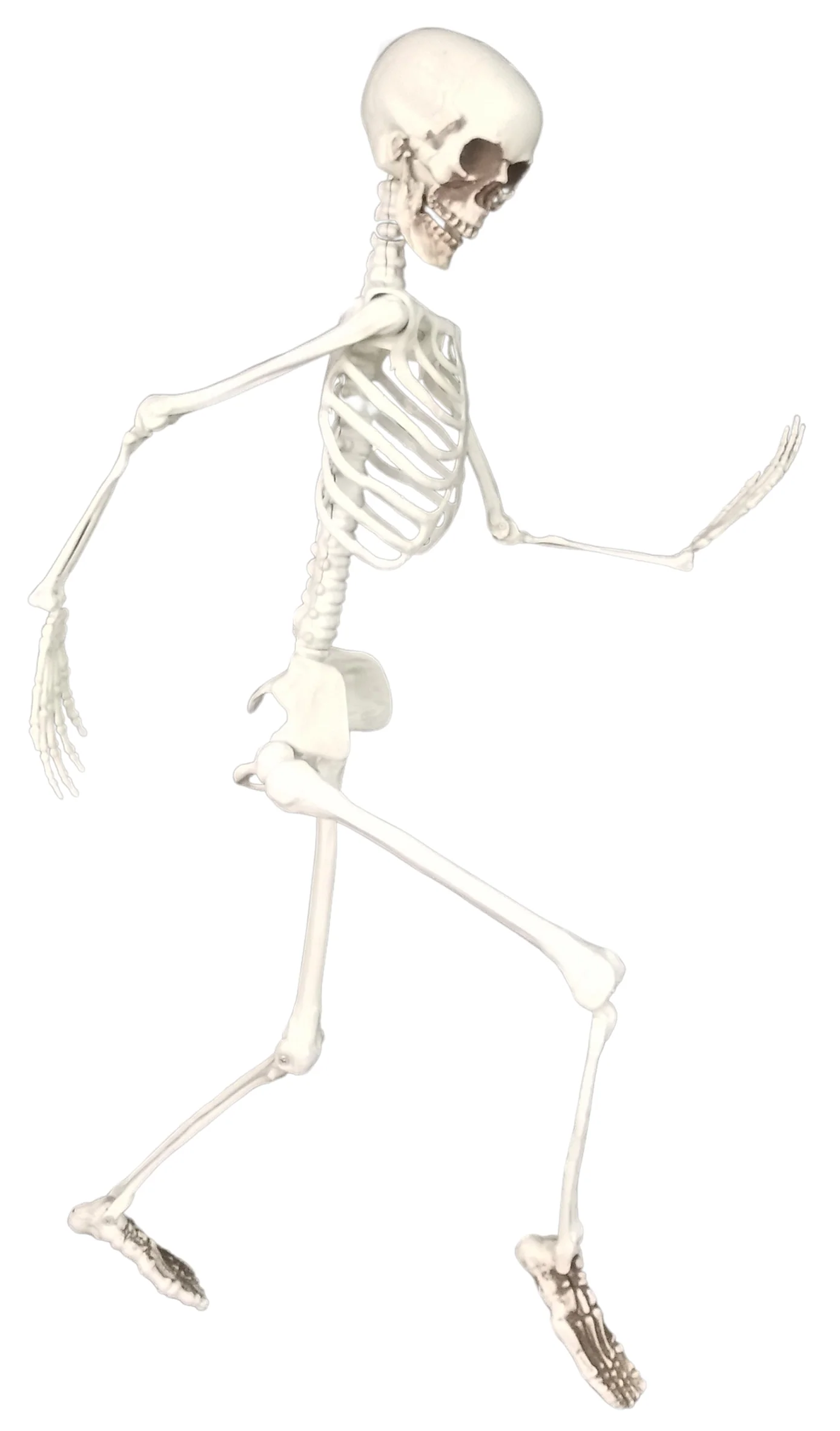 Tuotekuva 1