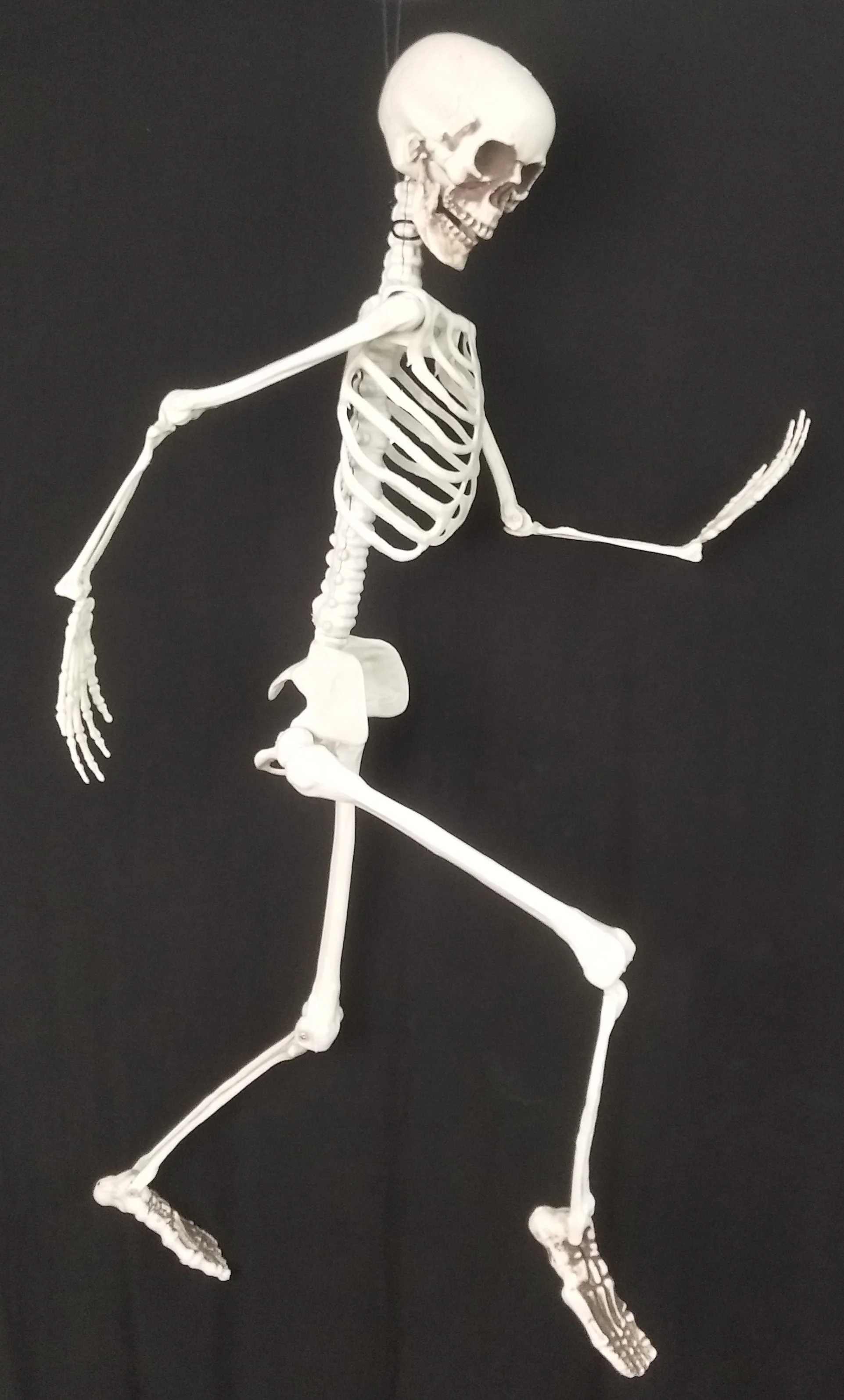 Tuotekuva 2