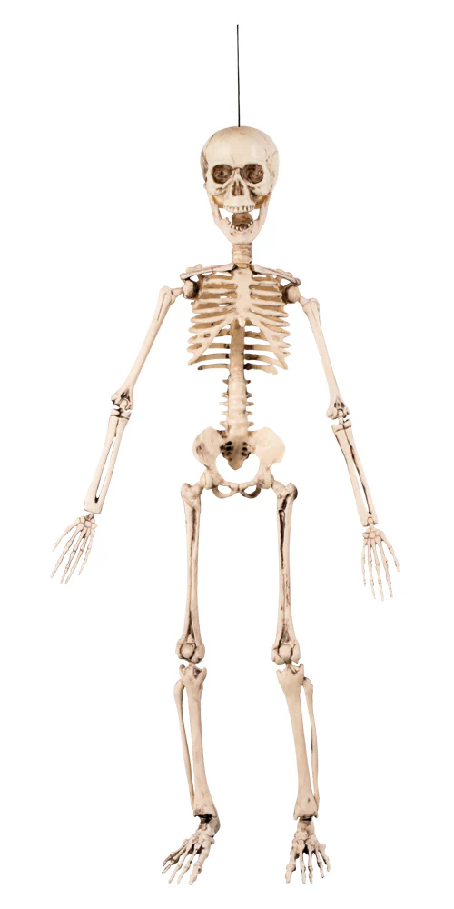 Tuotekuva 1