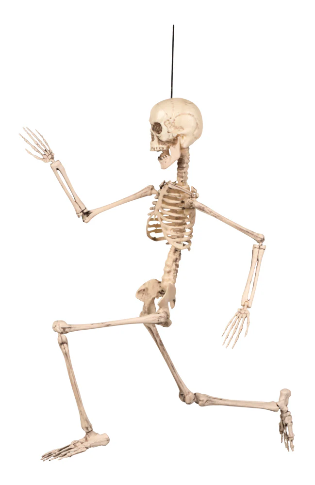 Tuotekuva 2