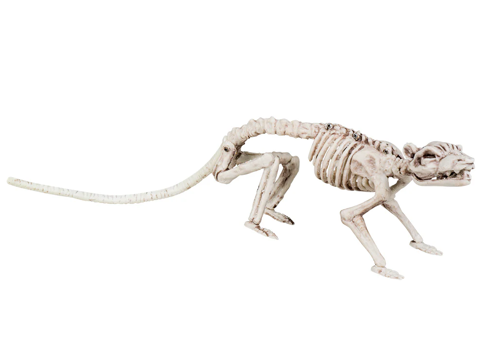 Tuotekuva 1