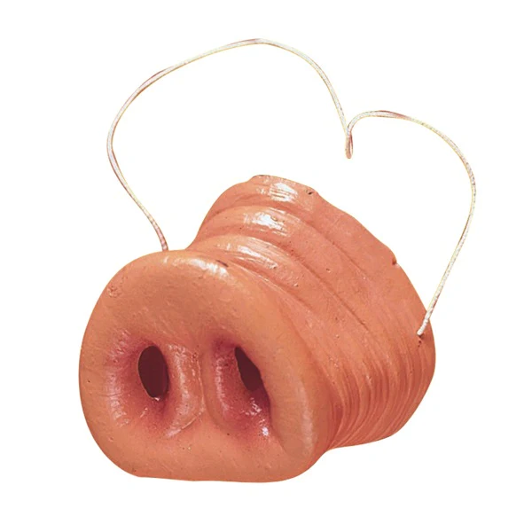 Pikkukuva 1