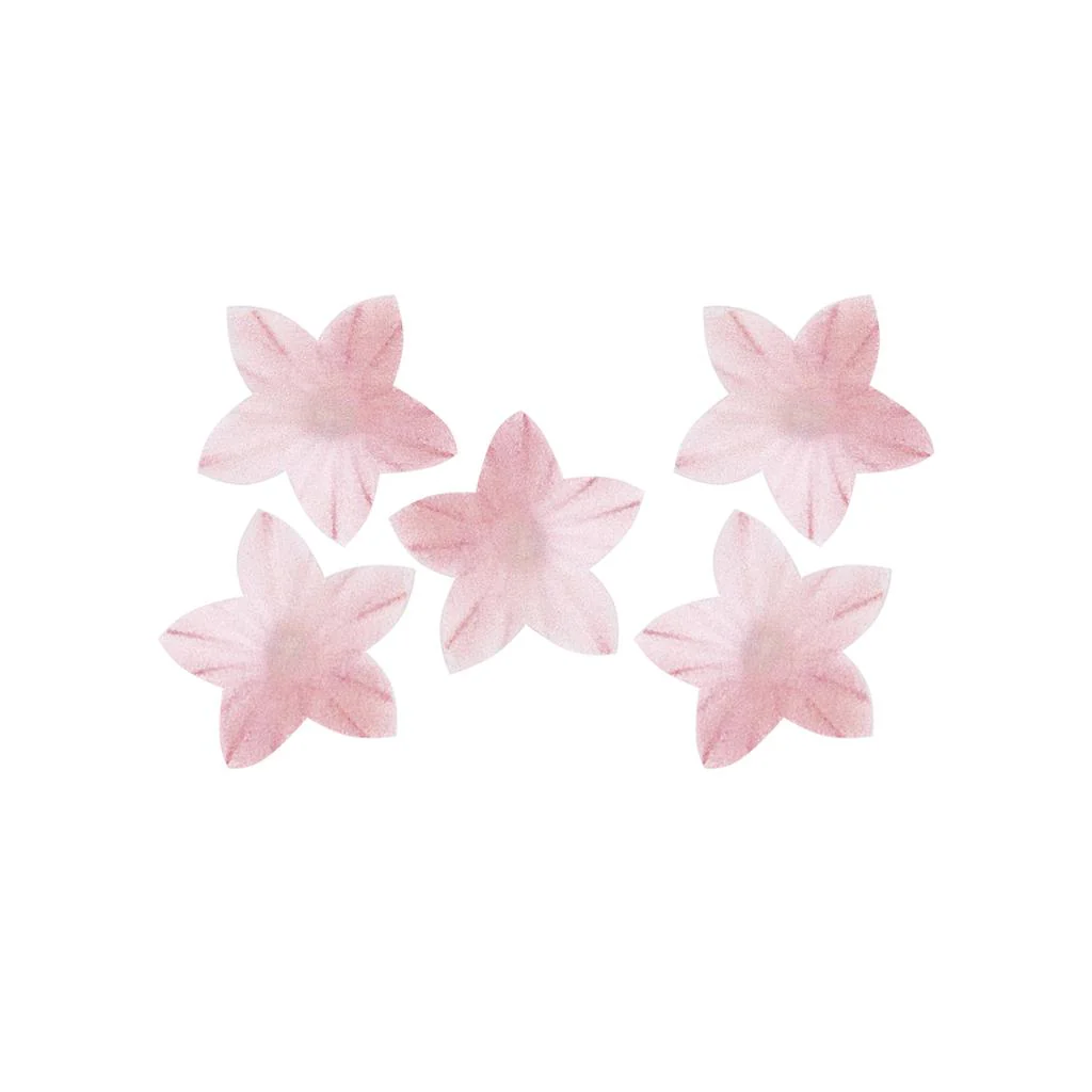 Pikkukuva 1